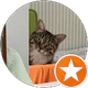 Ozgur Kececi profil fotoğrafı