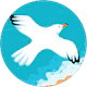 Beyza profil fotoğrafı