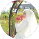 Büşra Demir profil fotoğrafı