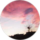 Lunara LORA profil fotoğrafı