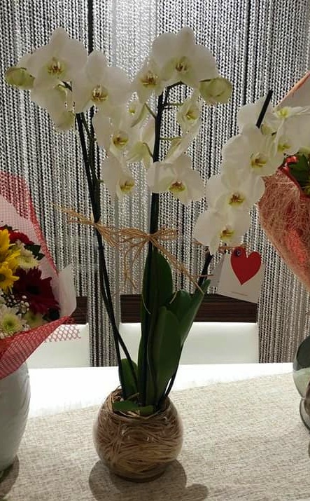 Bursa Flower Store