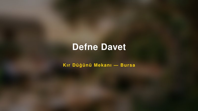 Defne Davet Bursa Kır Düğünü Mekanı