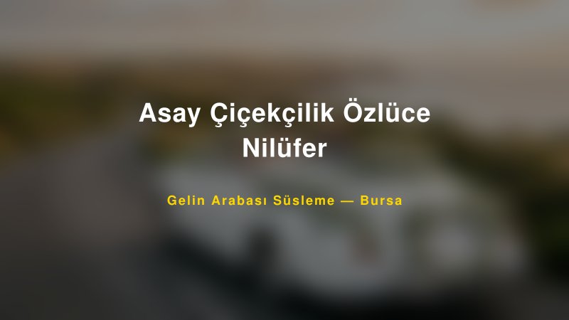 Asay Çiçekçilik Özlüce Nilüfer Bursa Gelin Arabası Süsleme