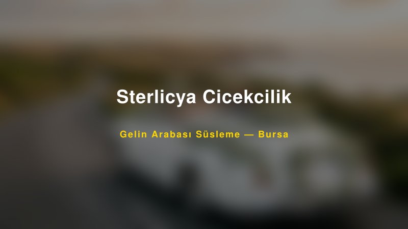 Sterlicya Cicekcilik Bursa Gelin Arabası Süsleme