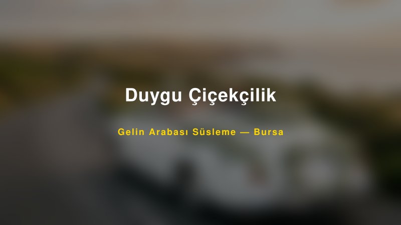 Duygu Çiçekçilik Bursa Gelin Arabası Süsleme